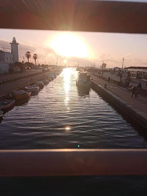 Mobile Home Viareggio - Including Airco- Camping Paradiso - G008 Dış mekan fotoğraf