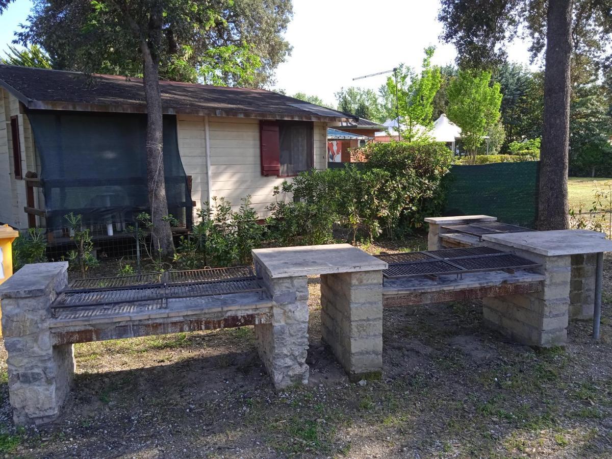 Mobile Home Viareggio - Including Airco- Camping Paradiso - G008 Dış mekan fotoğraf